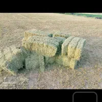 پرس یونجه ویونجه پودری|حیوانات مزرعه|سیرجان, |دیوار