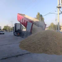 انواع کود های کشاورزی و بذر کندم|خدمات باغبانی و درختکاری|شوشتر, |دیوار