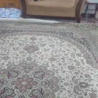 فرش 12متری کاشان...500شانه|فرش|آمل, |دیوار