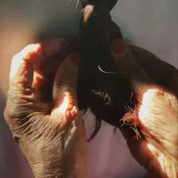 مراقبت سالمند