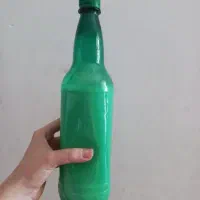 شیر خر