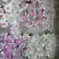 گیفت اقتصادی و لاکچری
