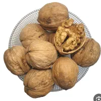 گردو .شیره
