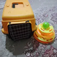 باکس و برج کایا گربه نو نوهسش