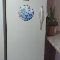 تمام فریزر در حد نو