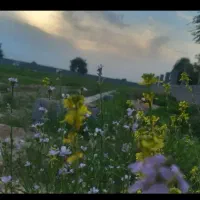 فروش زمین ۳۰۰ متری|فروش زمین و ملک کلنگی|شوشتر, |دیوار