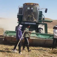 کمباین مدل66اماده کارموتور302