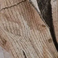 کاپشن