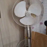 کفی تخت چوبی و صندلی و پنکه|تخت و سرویس خواب|نیشابور, پاستور|دیوار