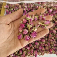 غنچه گل محمدی|خوردنی و آشامیدنی|سرپل ذهاب, |دیوار