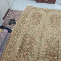 نو و سالم رنگ نخودی طلایی