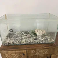 اکواریوم شیشه ای