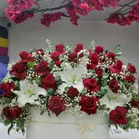 باکس گل|گل و گیاه طبیعی|قم, طلاب غیر ایرانی|دیوار