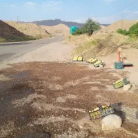 زمین وباغ جاده دندی روستای دوزکندبیش از یک هکتار|فروش زمین و ملک کلنگی|انگوران, |دیوار