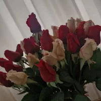 یک دسته گل رز|گل مصنوعی|قم, شهرک قدس|دیوار