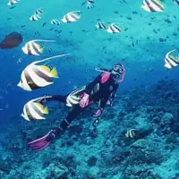 تور چارتری کیش