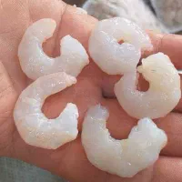 چندنفرخانم جهت تمییز کردن و بسته بندی میگو