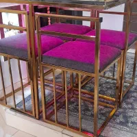 ناهارخوری جنس فورتیک نو