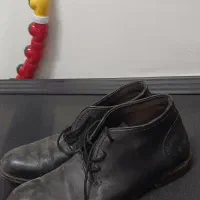 کفش|کیف، کفش، کمربند|فردوس (خراسان), |دیوار