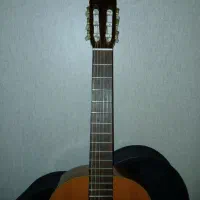 گیتار کلاسیک|گیتار، بیس، امپلیفایر|تهران, افسریه شمالی|دیوار