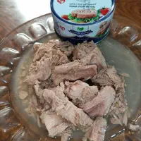 تن ماهی به قیمت کارخونه