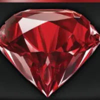 سرمایه گذار