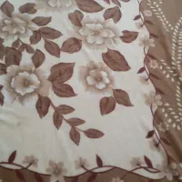 پتو|رختخواب، بالش، پتو|بندرعباس, |دیوار