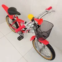 دوچرخه شماره ۱۶ مارک رالی حرفه ای بهترین جنس|دوچرخه، اسکیت، اسکوتر|بروجن, |دیوار