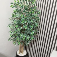 درختچه بنجامین با گلدان بزرگ مدل جدید|گل مصنوعی|اهواز, حصیرآباد|دیوار