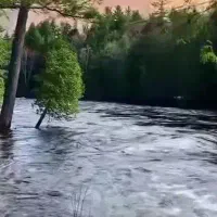 کتاب وسیدی های حرف آخر ۳پایه دهم، یازدهم،دوازدهم