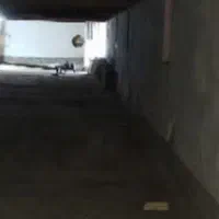 کارگاه زغال ، انبار  ، بلدرچین ، بوقلمون