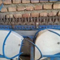 گندم چین پایه کوتاه bcs