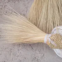 جاروی   سیستان