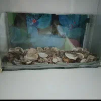 اکواریم معاوضه با هر ماهی ویا با هر حیوانی پرنده