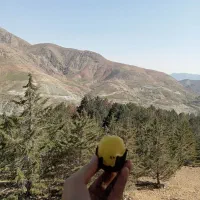 100 سوت طلا رایگان