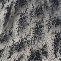 دانتل کارشده باپولک وملیله