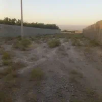 ۱۸۵۰متر زمین مناسب باغ سوله گلخانه وغیره بازمرگان