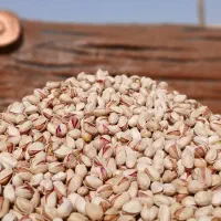 پسته امسالی و تازه