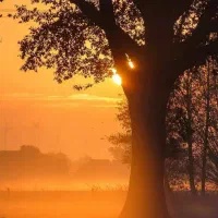 سهم آب کشاورزی شاهین شهر جهاد اباد