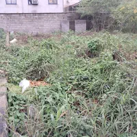 فروش زمین با سند تک برگ