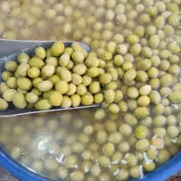 پخش زیتون رودبار و طارم|عمده‌فروشی|رودبار, |دیوار