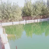 آب قنات|فروش دفتر صنعتی، کشاورزی، تجاری|آباده, |دیوار