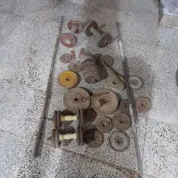 دنبل و هالتر