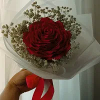 گل ربانی