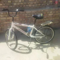 دوچرخه24رنگ پابریک