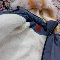 کاپشن کاملا نو|لباس|اراک, |دیوار