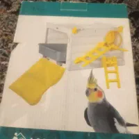 لانه عروس هلندی نو