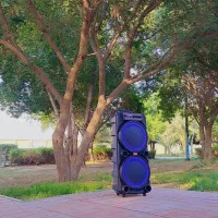 لوازم صوتی وکادویی فانتزی جدیدا