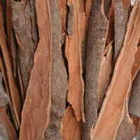 تولیدو پخش ادویه و چاشنی جات|عمدهفروشی|تربتحیدریه, کاشانی|دیوار