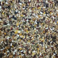 بورس خوراک پرندگان ( گل دانه)